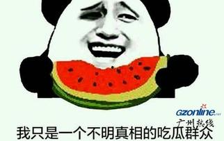 吃瓜啥意思网络用语,揭秘网络热词“吃瓜”背后的文化现象